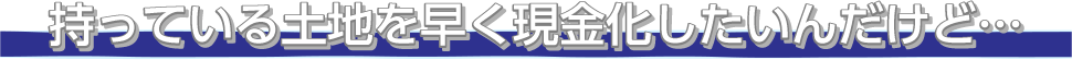 持っている土地を早く現金化したいんだけど…
